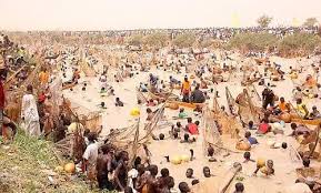 Fishing competitions using traditional methods, demonstration of indigenous fishing techniques, inter-community participation from Tiv, Etulo and Jukun, cultural performances and celebration of riverine livelihood.